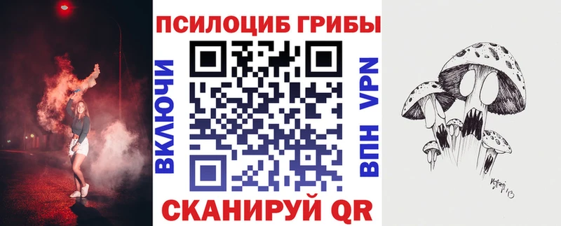 Псилоцибиновые грибы мицелий Буйнакск